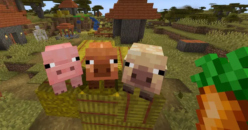Minecraft erhält ein wichtiges Update, das dem Spiel zwei neue Schweinetypen hinzufügt!