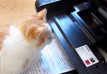 Der beste Drucker für zu Hause ...