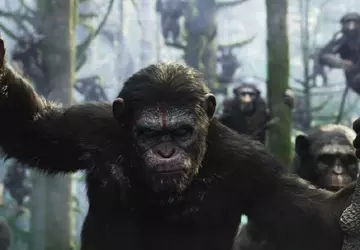 Während der Super Bowl-Übertragung feierte der ...