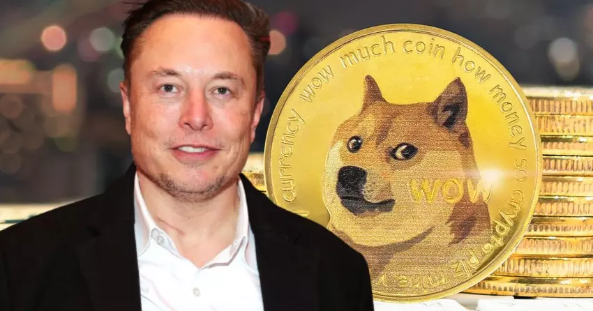 Dogecoin Witz Kryptowährung im Wert in die Höhe geschossen unter Twitter Verkauf