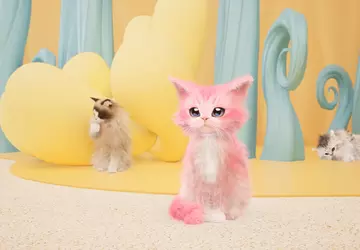 Catly-Entwickler stellen neuen Spieltrailer vor, nachdem ...