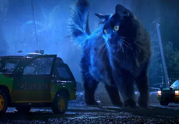 15 Millionen Aufrufe in eineinhalb Wochen: ...