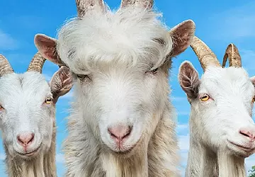 God of War Ragnarok, Call of ...