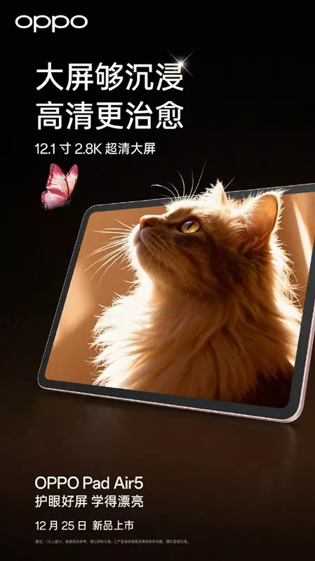 Oppo Pad Air 5 Display-Teaser