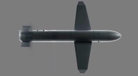 Litauen stellt 10 Mio. EUR für die Herstellung der ukrainischen Drohnenrakete "Palianytsia" zur Verfügung