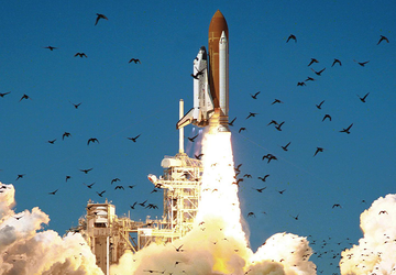 Eines der größten Teile des Challenger-Raumschiffs ...