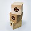 JVC Kenwood WDS-01 Drahtlose Lautsprecher Design