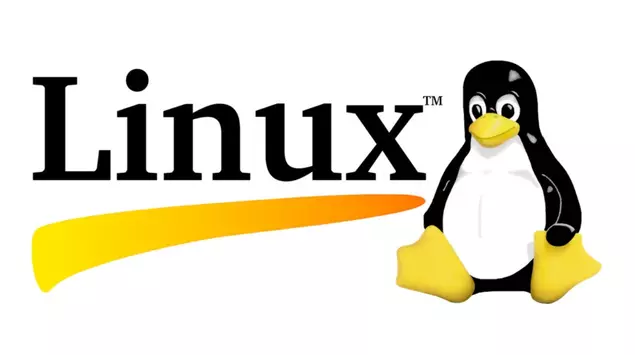 Linux 7.0 behebt Probleme mit AMDGPU-Treiber ...