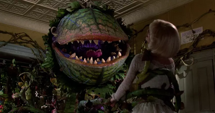 Der Regisseur des kultigen "Gremlins"-Films, Joe Dante, wird bei einem Reboot der Horrorkomödie "Little Shop Of Halloween Horrors" Regie führen