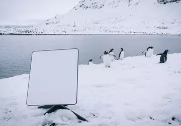 SpaceX stellt Starlink Roam vor: Globaler ...