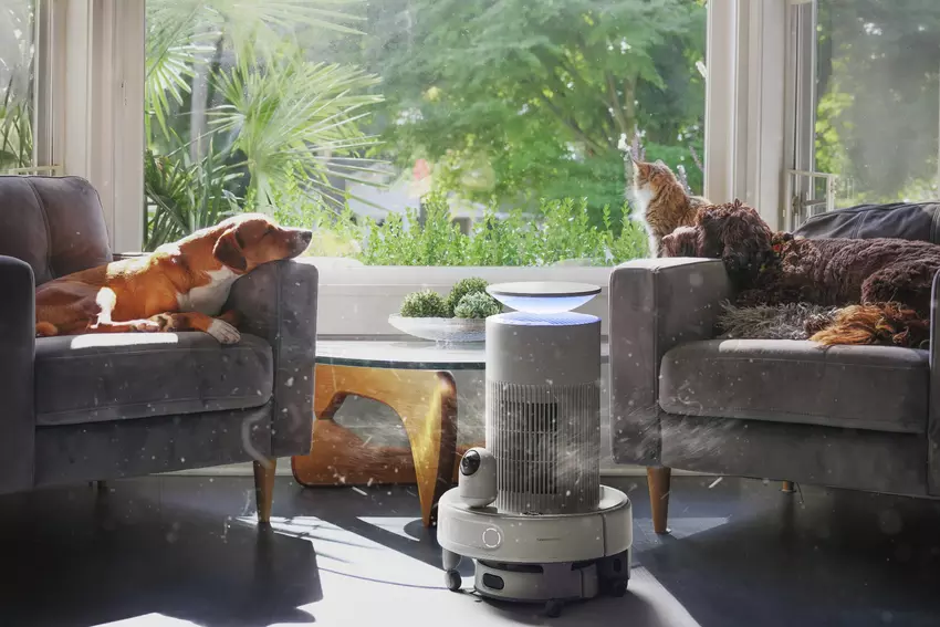 Luftreinigung mit dem SwitchBot K20+ Pro. Illustration: SwitchBot