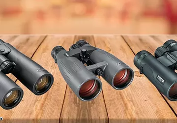 Besten Bushnell Ferngläser: Test und Vergleich