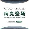 Vivo Y300 Smartphone Rückseite Lautsprecher Miniatur