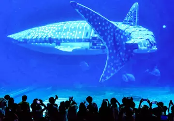 Gebt uns unser Geld zurück! Die ...