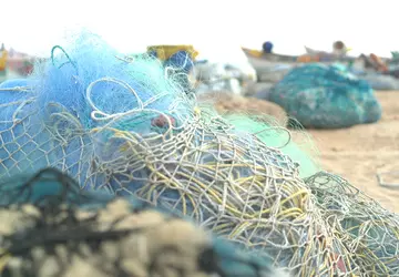 Samsung hat für die Flaggschiffe des ...