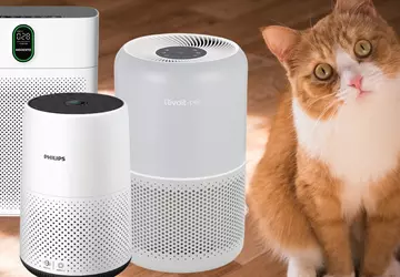 Beste Luftreiniger für Katzen