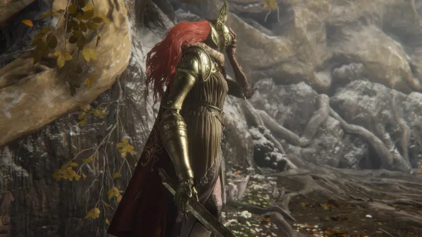 Elden Ring-Patch 1.04. 1 behebt neben anderen Änderungen den Koop-Fehler in Malenia