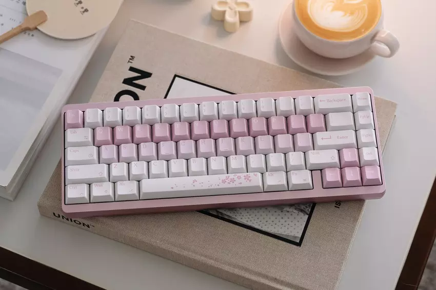 Das Netz hat uns über die Eigenschaften der neuen Varmilo Muse65 HE Gaming-Tastatur informiert: ist sie ihr Geld wert?