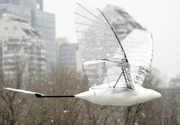 Ein chinesischer Drohnenvogel hat einen Weltrekord ...