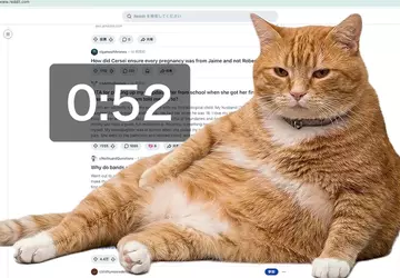 Dieser Katzen-Timer für Chrome zwingt euch ...
