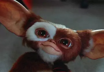 Gizmo aus "Gremlins" wird am 8. ...