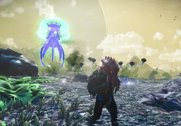 Ich gebe auf und erkunde den ...