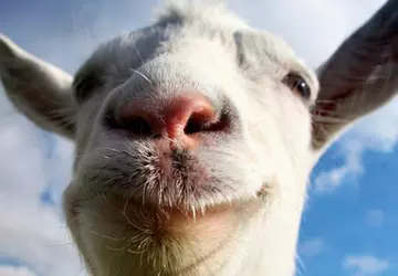 Gibt es ein Comeback der verrückten ...