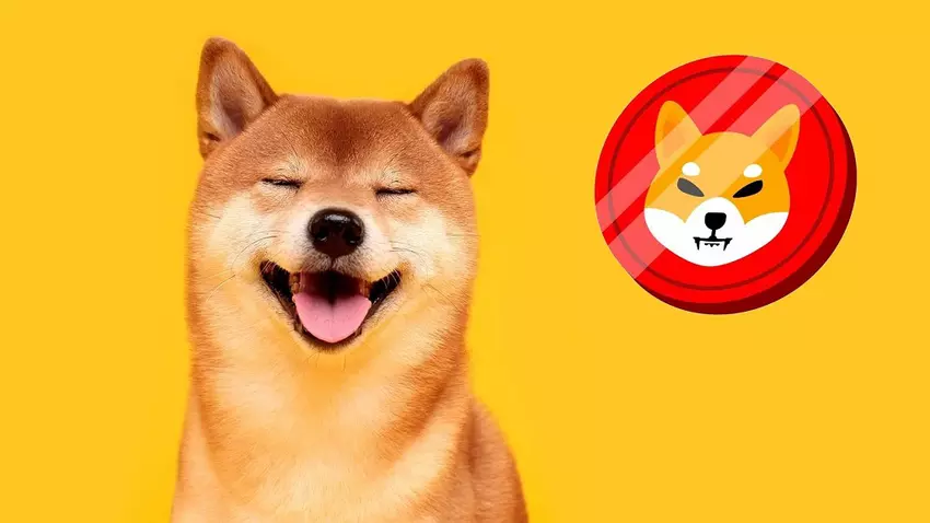 Shiba Inu Scherz-Token steigt dank Ilon Musk um 331% und in die Top 20 der Kryptowährungen