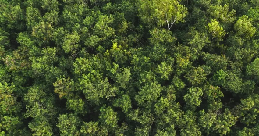 Solarstationen und recycelter Kunststoff: Wie Samsung Umweltaktivitäten fördert