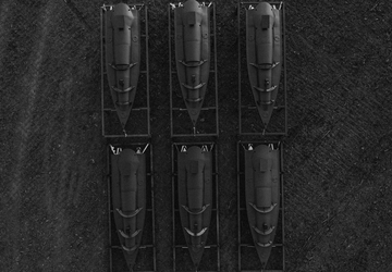 Litauen sammelte 250.000 $ für eine ...