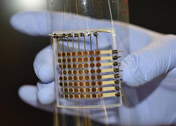 Wissenschaftler haben erstmals ein 3D-gedrucktes flexibles ...