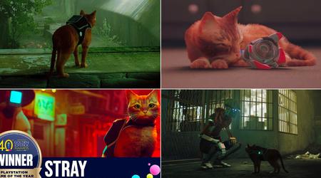 Die Geschichte von Stray: Wie eine Katze aus einer Cyberstadt zur Entdeckung des Jahres wurde und die Spieleindustrie beeinflusste