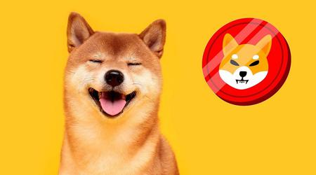 Shiba Inu Scherz-Token steigt dank Ilon Musk um 331% und in die Top 20 der Kryptowährungen