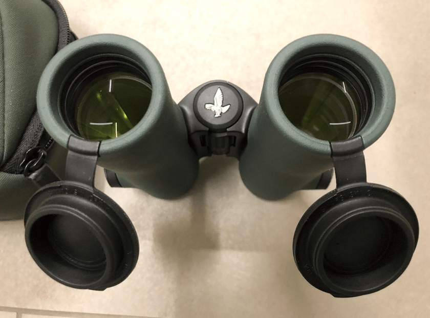 Swarovski NL Pure 10x32 Sport-Fernglas