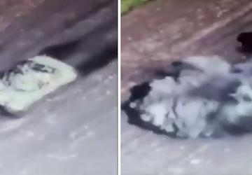 Video: Russischer Panzer hat eine Mine ...