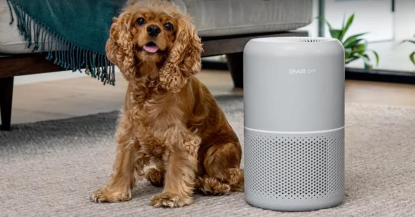 LEVOIT Core 300S luftreiniger für katzen-geruch