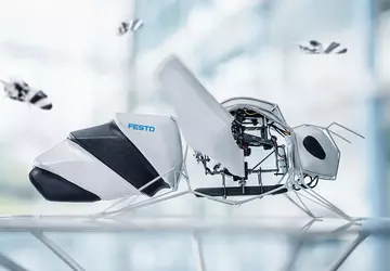 Hauptsache, es ist nicht so wie ...