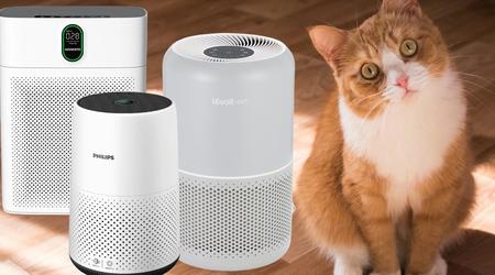 Beste Luftreiniger für Katzen