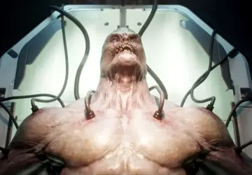 Nichts für schwache Nerven: Die Entwickler ...