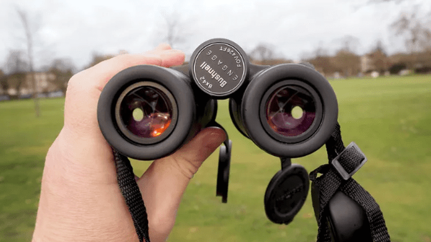 Bushnell 8x42 Engage kompaktes 8x42 Fernglas