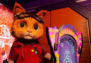 Blutrünstiges Kätzchen gegen verrücktes Spielzeug: brutaler ...