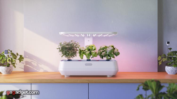 Smarte Gadgets für Pflanzenpflege