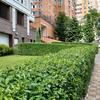 ASUS ZenFone 8 im Test-279 ASUS ZenFone 8 im Test-279