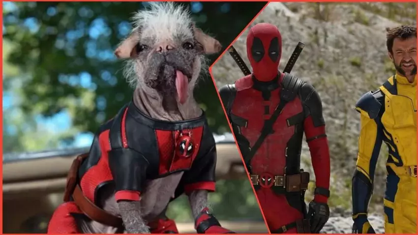 Lasst die Hunde los: Ryan Reynolds kündigt den Sommerstart von Deadpool 3 an und stellt den neuen pelzigen Helden Dogpool vor