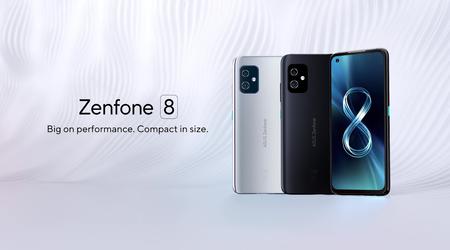 ASUS ZenFone 8 hat mit dem Update auf Android 12 begonnen: Wir sagen Ihnen, was neu ist und wann Sie auf die Firmware warten müssen