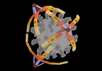 Wissenschaftler haben einen mikroskopischen "Arm" aus ...