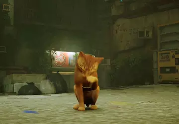 Jetzt kann die Katze von Stray ...