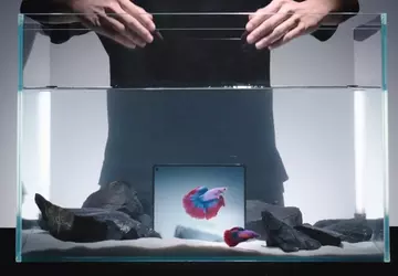 Vivo X Fold 5 kann bis ...