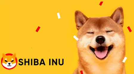 Nutzer investiert $8.000 in die Kryptowährung Shiba Inu und verdient mehr als $5.000.000