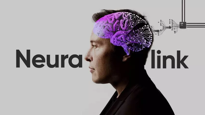 Cyborgs abgesagt - FDA will Musk nicht erlauben, Neuralink-Chips, die Tiere getötet haben, an Menschen zu testen 